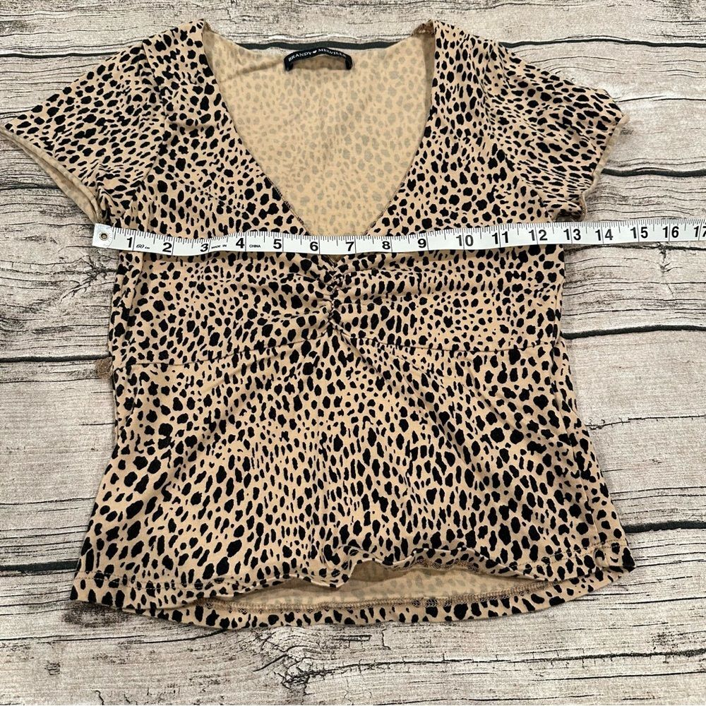 Brandy Melville Cheetah Print Deep V-Neck Fitted Tee; One Size